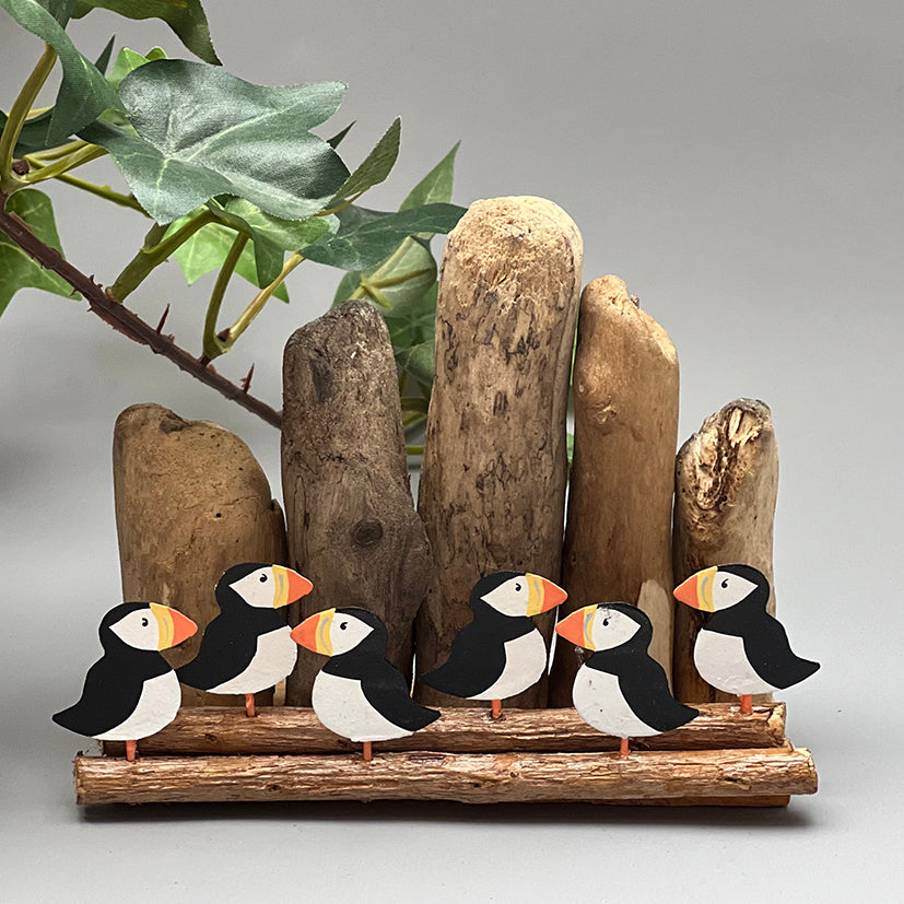 Flock of Puffins on Driftwood