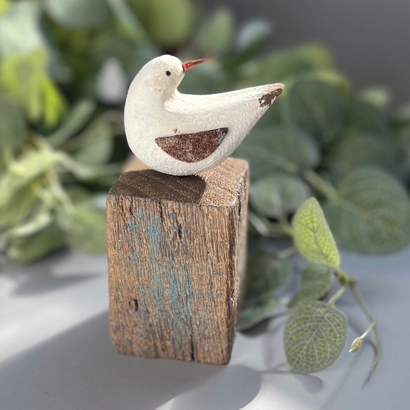 Bird on driftwood block