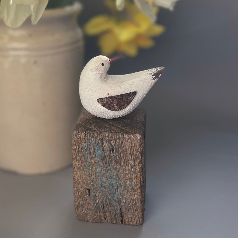 Bird on driftwood block