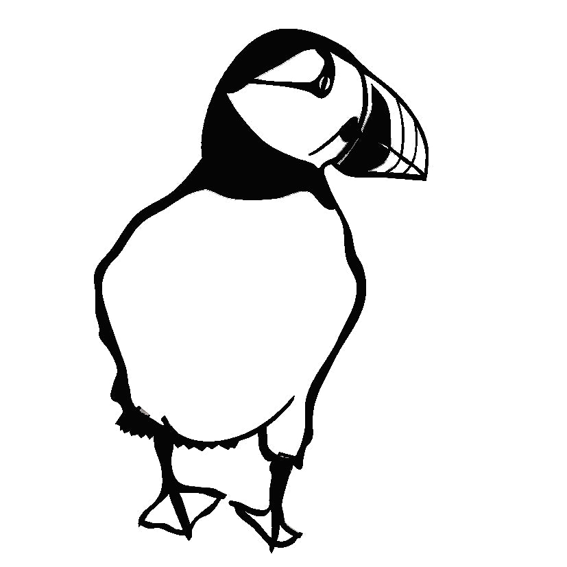 Puffin Wall art