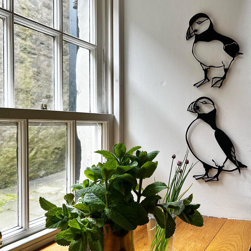 Puffin Wall art