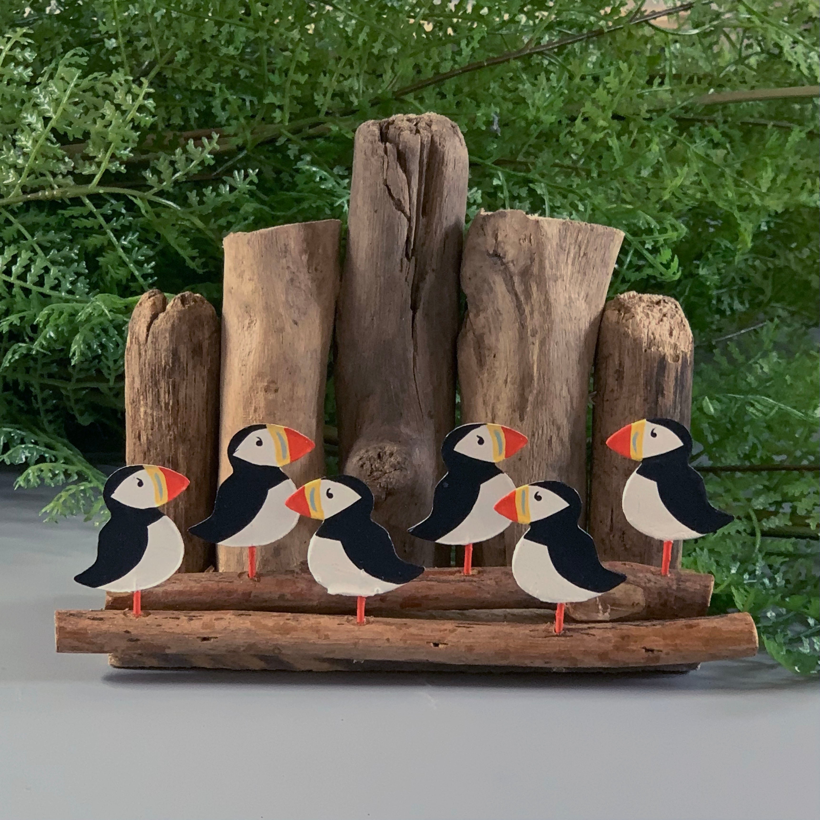 Flock of Puffins on Driftwood