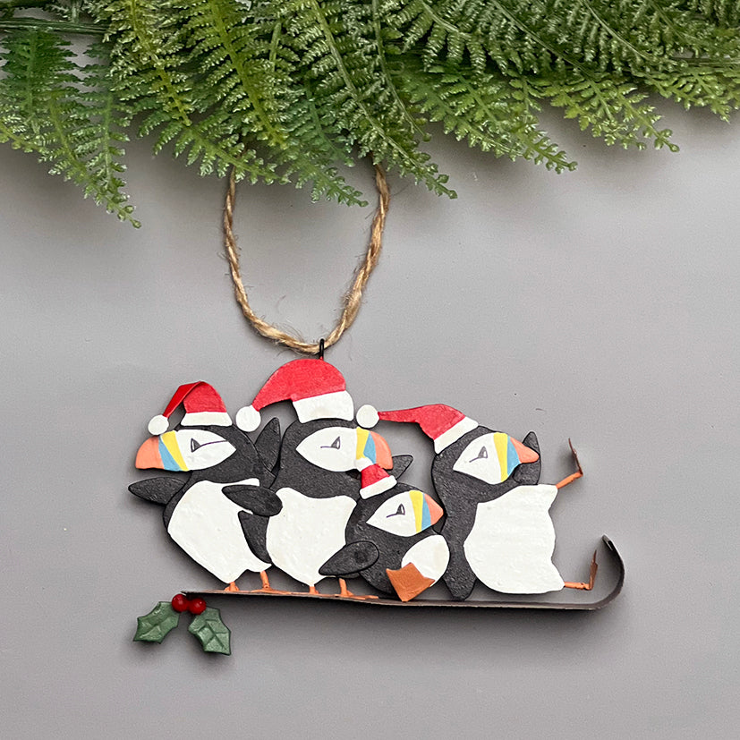 5 puffin sledging