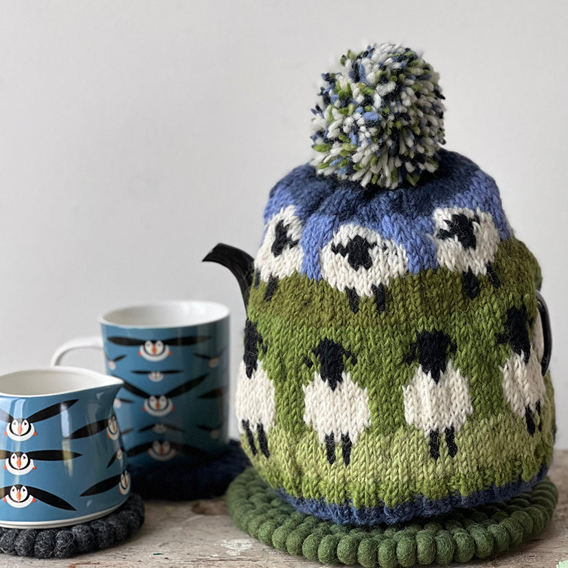Hand knitted tea cosy